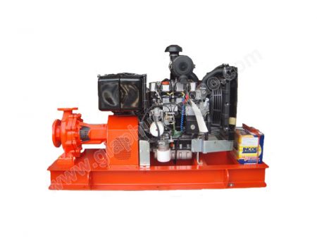 CUM E NOS 65 250
